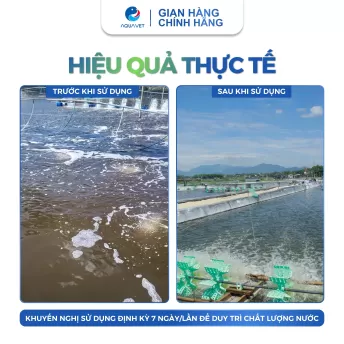 Siêu Lắng Tụ Polymer Anionic